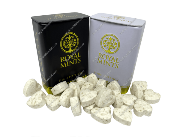 ROYAL MITS, Potensi Tinggi 24 minit